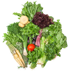 pile of bunches from fresh cut greenery isolated