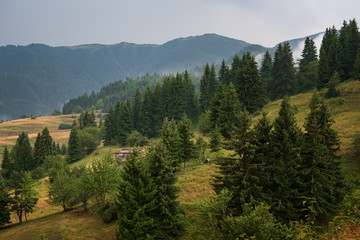 Obraz premium Gela village after the rain, Rhodope mountain, Bulgaria