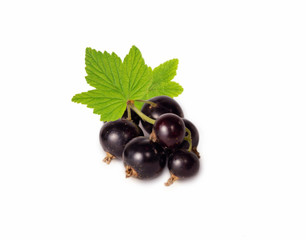Black currant isolated on white background. Blackcurrant branch.