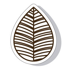 leaf plant nature isolated icon vector illustration design