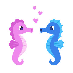 Cute cartoon seahorse couple - obrazy, fototapety, plakaty