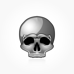Vector skull, clip-art, isolated on white
