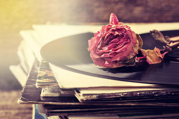 dry rose on  old records