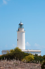 Fomentera, Isole Baleari: vista del Faro de La Mola il 3 settembre 2010. Il Faro de La Mola, sulla...