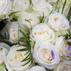 background of a lot of small beige roses