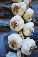 Plait of white garlic heads hanging on the stone wall