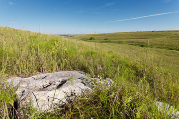 Limestone in the fields of Flint Hills National Preserve on a sunny day 
