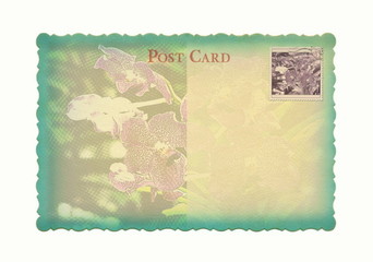 flower Postcard 