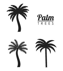 palm tree tropical nature summer beach plant icon set. Silhouette and isolated design. Vector illustration