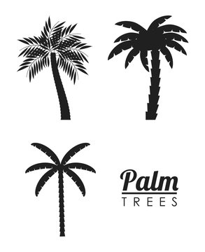 palm tree tropical nature summer beach plant icon set. Silhouette and isolated design. Vector illustration