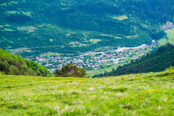 Height in mountains of Svaneti, Georgia. On a trek to Mazeri. Panorama of a valley from the top of a mountain with grassland and a tree in the foreground. Aerial view of western part of Mestia