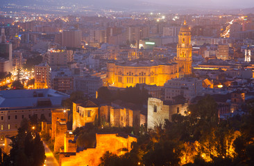 Fototapeta na wymiar Malaga Cathedral and cityspace from castle in night