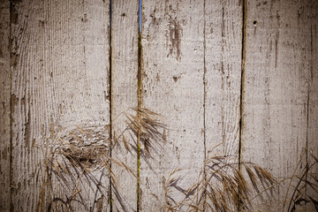 weathered rural wood fence and dried weeds background image