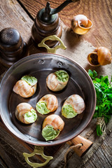 Delicious snails with hebrs and garlic butter