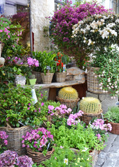 Small flower shop