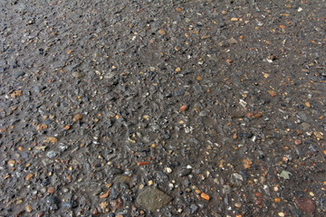 Background of wet gray asphalt for texture