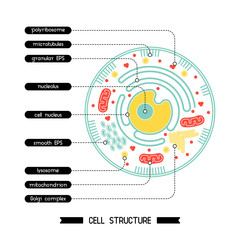 Cell structure 1