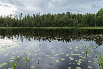 Early evening at a quiet and calm lake and reflection of a forest in Finland in summertime.