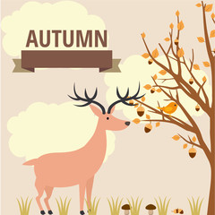 vector autumn illustration of flora and fauna