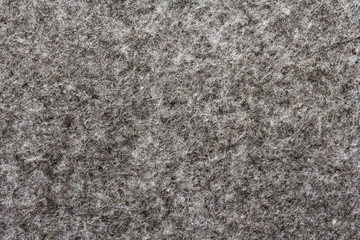 warm gray felt from natural wool, texture and background