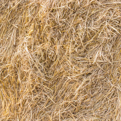  Texture of straw