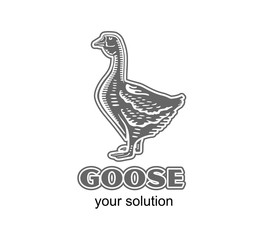 Fototapeta na wymiar logo goose illustration