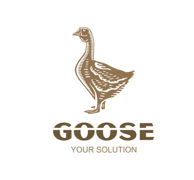 Goose logo vector icon