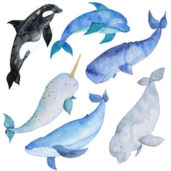 Obraz premium Whales Set Watercolor hand-painted Illustration Sea animals Blue Whales Isolated Cute Kids 