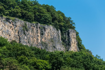Mountain landscape with snow and forest