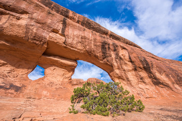 Arch, Arches Nationalpark, Utah/Arizona