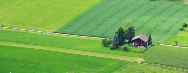 Small house in the field during summertime.