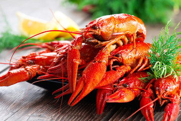 Crayfish. Red boiled crawfish on a wooden table in rustic style