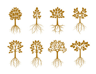Set Golden Trees and Roots. Vector Illustration.