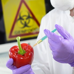 Gentechnik im Labor Genfood Lebensmittel
