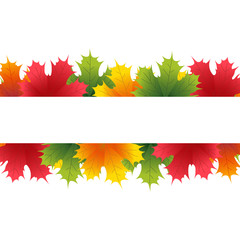 Autumn maple leaves with white banner