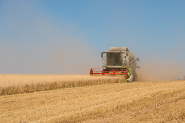 Naklejka premium Combine harvestesting