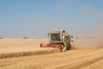 Combine harvestesting