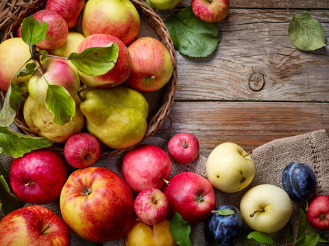 Fototapeta beautiful autumn fruits