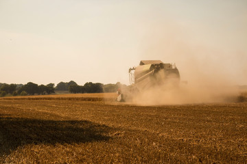 Combine harvestesting