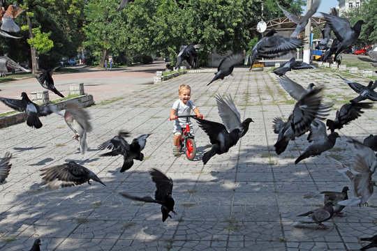 A flock of pigeons taking off up the frightened little boy on a