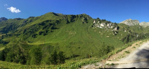 Obraz premium Aussicht auf grüne Bergwiese