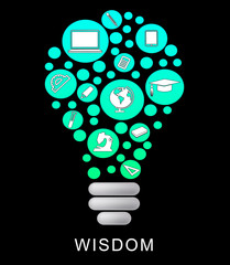 Wisdom Lightbulb Indicates Educational Graduation And Intellect