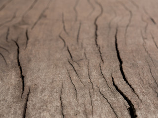 Wooden table with legs made of steel, is large.
