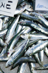 Fototapeta premium Fisch auf dem Markt