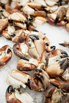 Fisch auf dem Markt