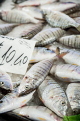 Fisch auf dem Markt