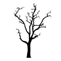 vector black silhouette of a bare tree