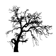 vector black silhouette of a bare tree