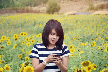 Asian young girl using smartphone and check email on sunflower background