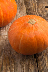 Orange pumpkin closeup